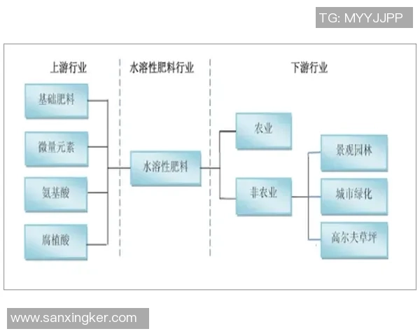 南京极限运动队的技术探讨与发展趋势分析 南京极限运动队的技术探讨与发展趋势分析
