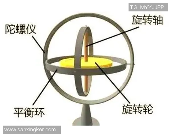广州排球队防守革新之路探索与实践的深度分析与启示